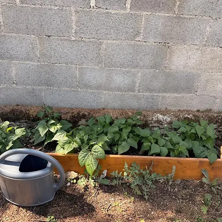 Maison Avec Jardin A 5min De Vichy Ideal Ironman 펜션