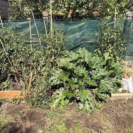 Maison Avec Jardin A 5min De Vichy Ideal Ironman Le Vernet (Allier)